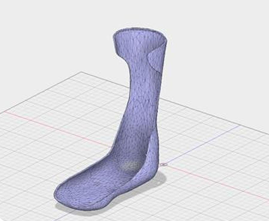 sample-foot